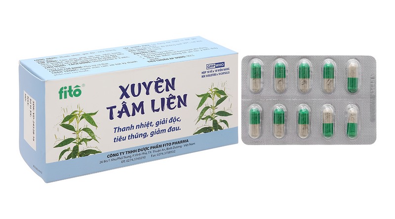 Xuyên tâm liên có trong bài thuốc