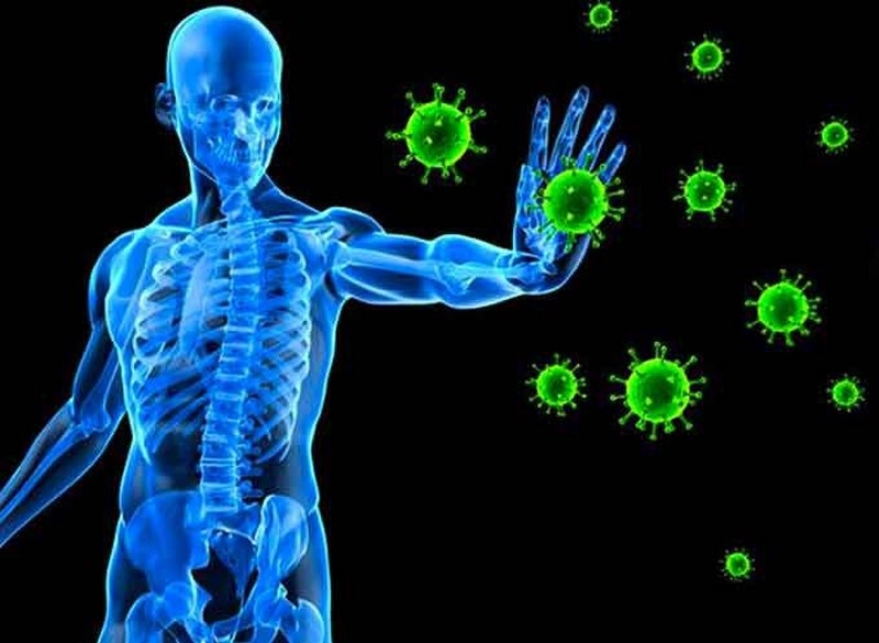 Bệnh viêm phổi kẽ lympho bào có thể liên quan đến nhiễm virus Epstein–Barr