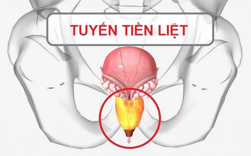 Đau hoặc khó chịu trong vùng niệu đạo