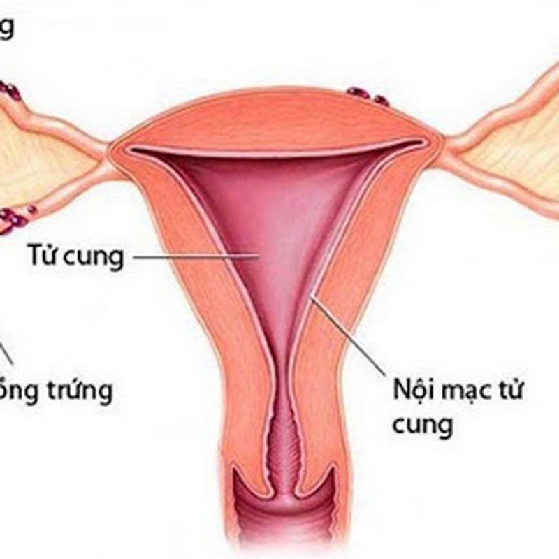 Duy trì một lối sống lành mạnh để ngừa bệnh