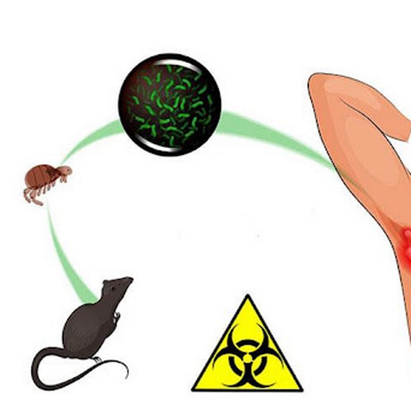 Tuân thủ vệ sinh cá nhân để ngừa bệnh