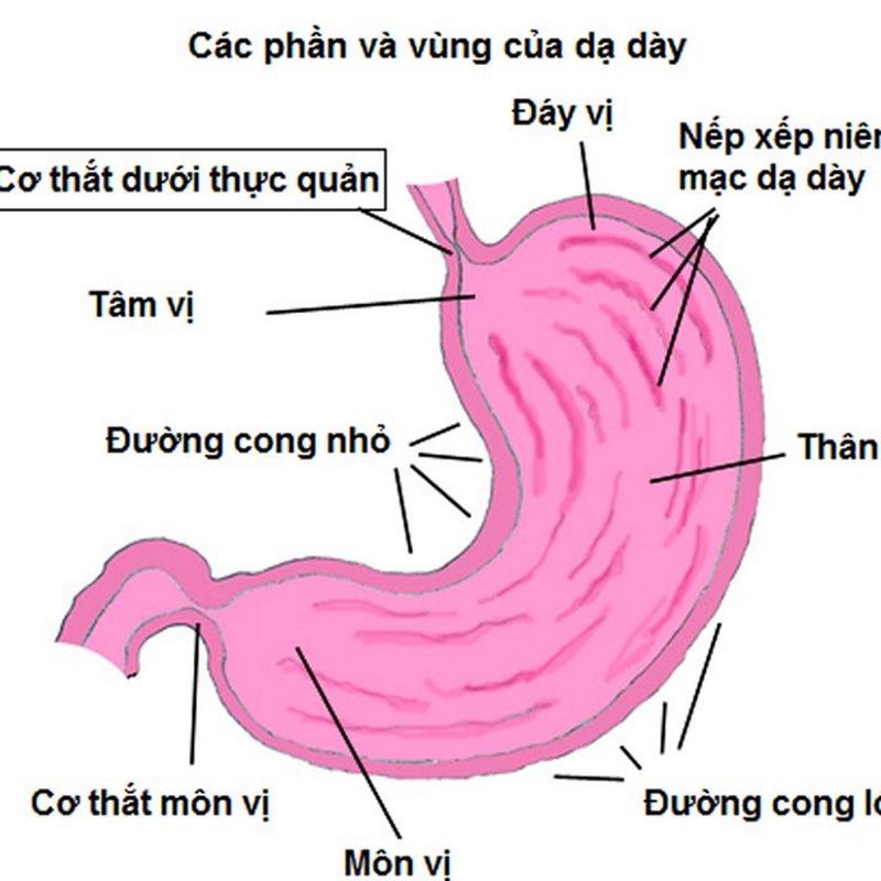 Xác định các chỉ số cơ bản như đường huyết