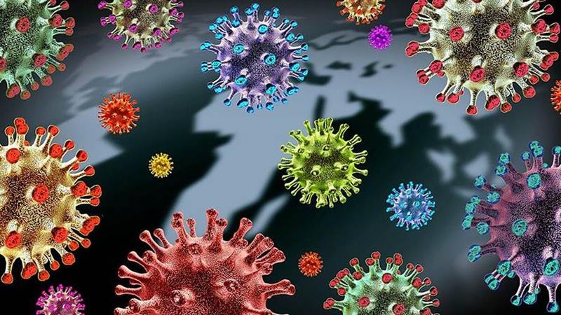 Nhiễm virus có thể là nguyên nhân gây viêm tủy cắt ngang