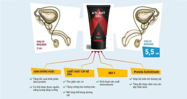 Atlant Gel hỗ trợ tăng cường sinh lý nam hiệu quả