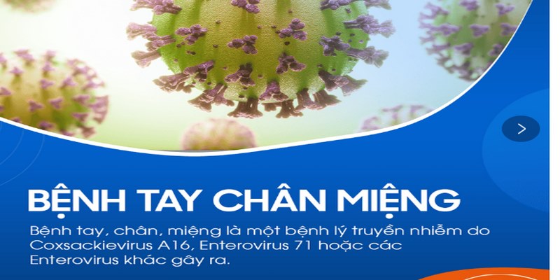 Bệnh tay, chân, miệng là gì