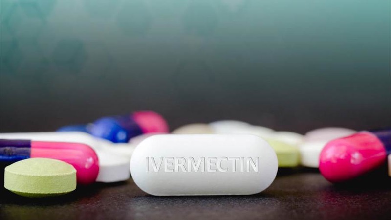 Ivermectin là thuốc hàng đầu điều trị bệnh ấu trùng da di chuyển