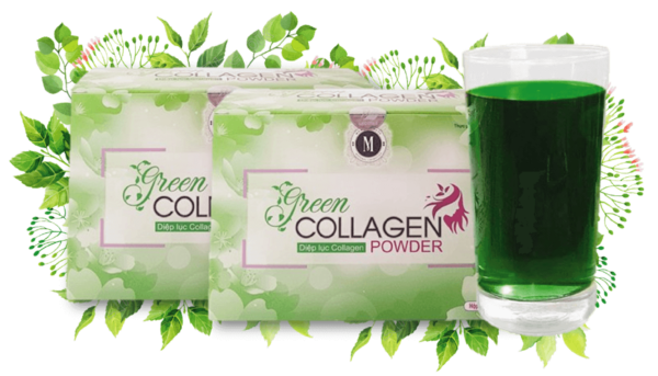 Bột uống diệp lục collagen Green Collagen Power