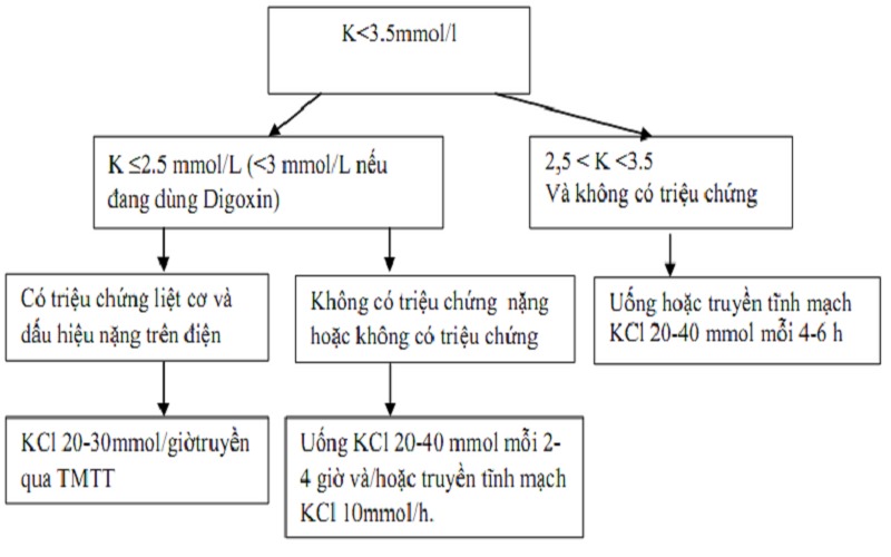 Mô tả về hạ kali máu và cách điều trị