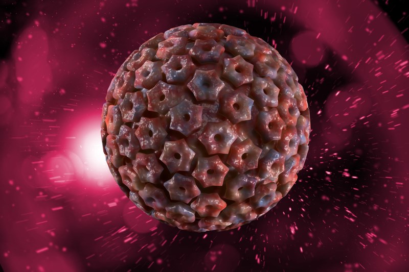 Virus herpes simplex là nguyên nhân gây ra herpes hậu môn