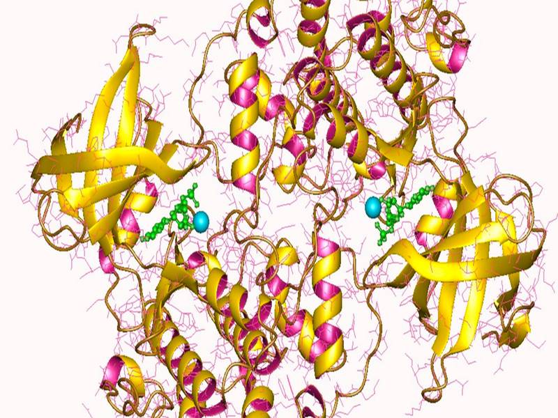 Tích tụ protein tau có thể dẫn đến tổn thương một số vùng não nhất định