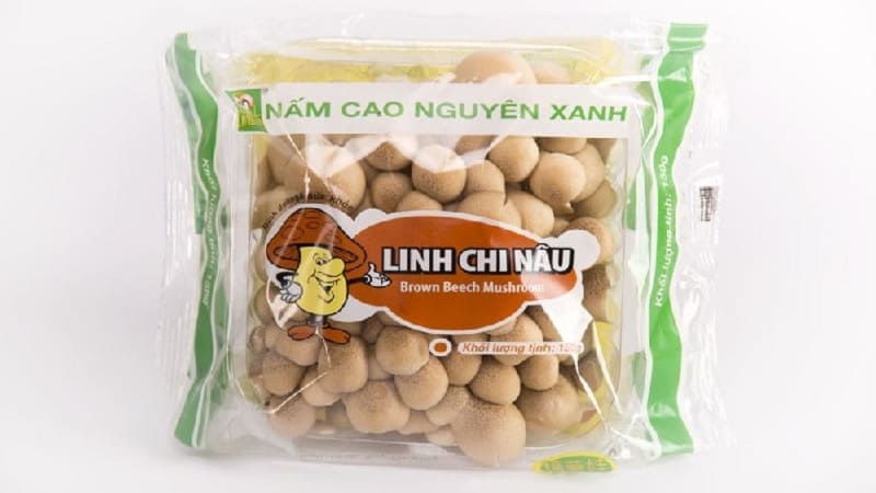 Nấm linh chi nâu có thể giúp điều hòa huyết áp, giúp duy trì sức khỏe của hệ tuần hoàn