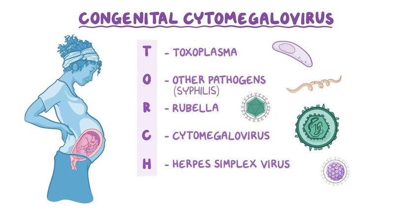 Nhiễm Cytomegalovirus có thể truyền từ mẹ sang con