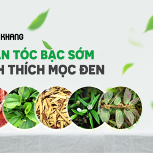 Ô Mộc Khang dùng cho người tóc bạc sớm