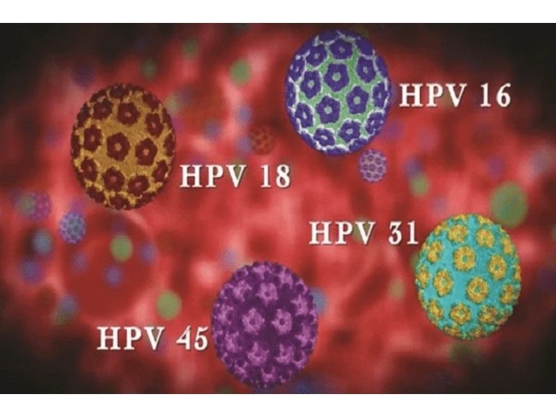 Virus HPV