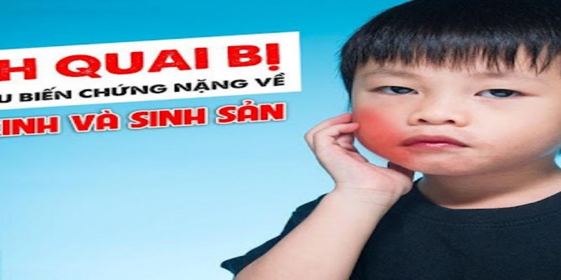 Quai bị là gì?