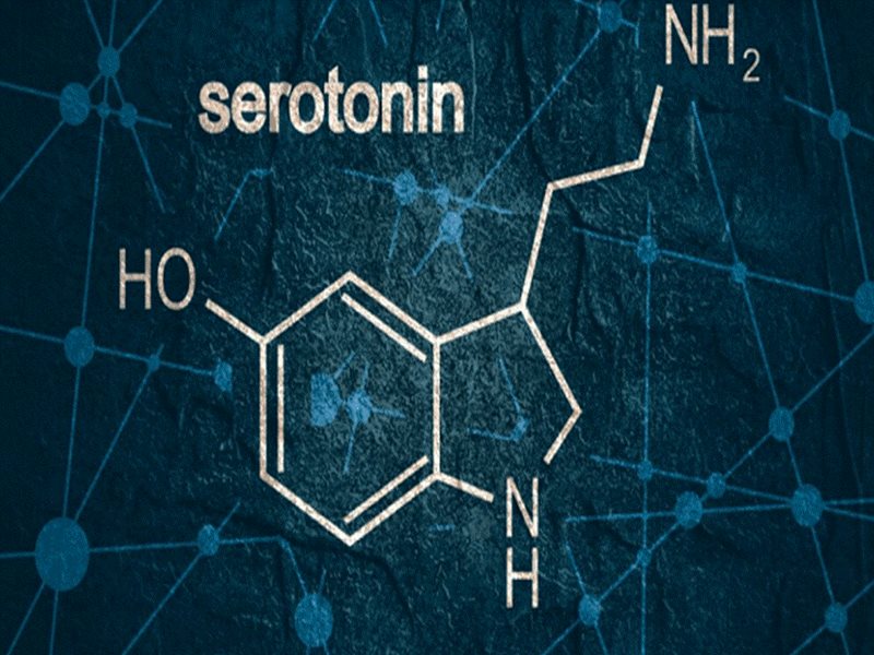 Nồng độ Hormone Serotonin thấp có thể là nguyên nhân gây bệnh