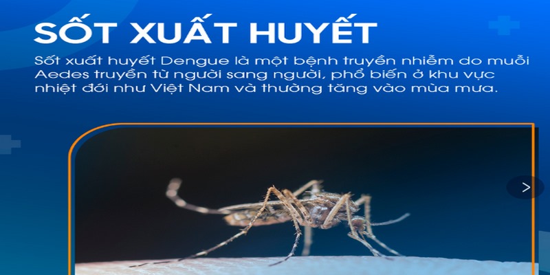 Sốt xuất huyết Dengue là gì?