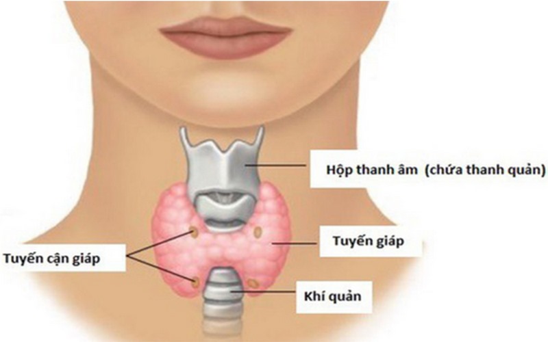 Thị lực giảm đáng kể cần gặp bác sĩ khám ngay