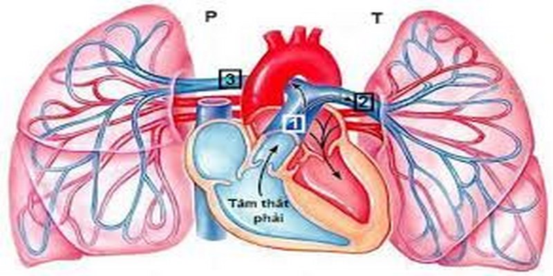 Định kỳ kiểm tra sức khỏe và thăm khám chuyên khoa