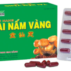 Tai Nấm Vàng GPharm - hỗ trợ chức năng gan, giải độc gan