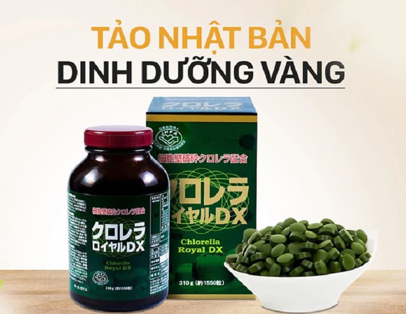 Chlorella Royal DX có công dụng lớn trong tăng cường hệ miễn dịch cho cơ thể 