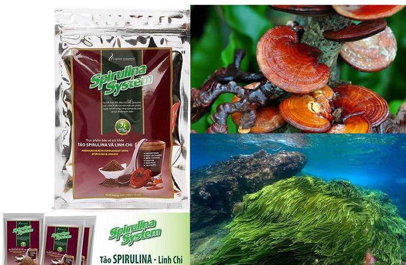 Spirulina và nấm linh chi là hai loại thực phẩm quý