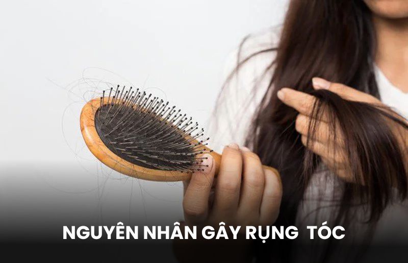 Những nguyên nhân khiến tóc rụng, thưa dần 