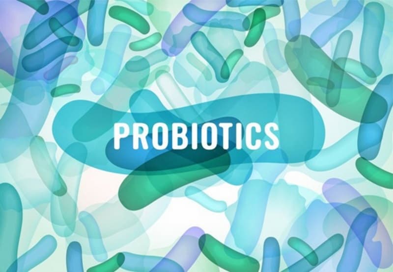 Probiotics còn giúp cơ thể tổng hợp nhiều vitamin và bài tiết enzyme