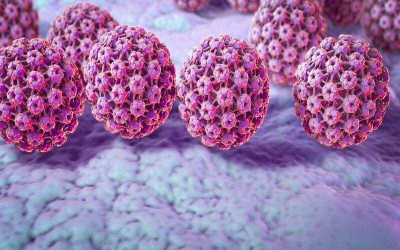 Phụ nữ có nhiều khả năng bị ung thư hậu môn liên quan đến HPV hơn nam giới