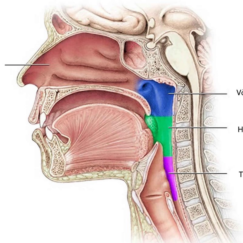 Tìm hiểu chung về ung thư vòm họng giai đoạn II