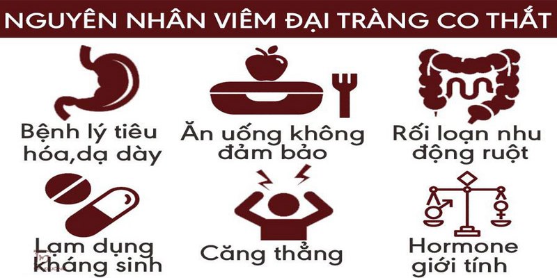 Nguyên nhân bị bệnh đại tràng là rất nhiều