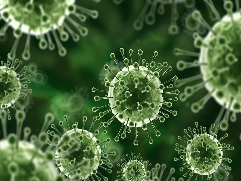 Nhiễm virus có thể là nguyên nhân gây ra bệnh