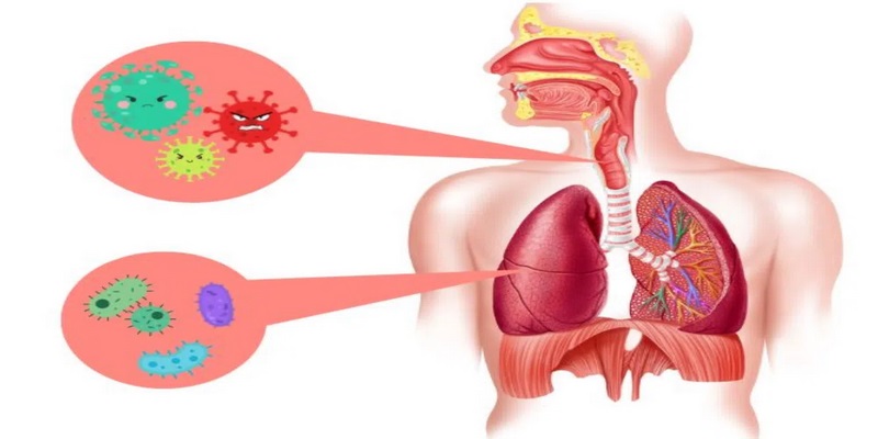 Người cao tuổi có nguy cơ mắc viêm phế quản cấp tính cao hơn so với người trẻ