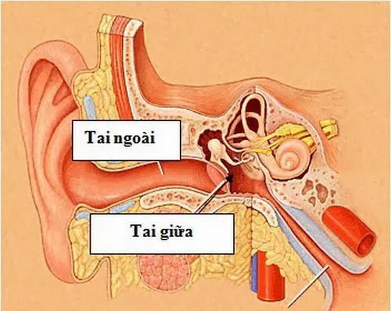 Thăm khám ngay khi bệnh chuyển biến nặng