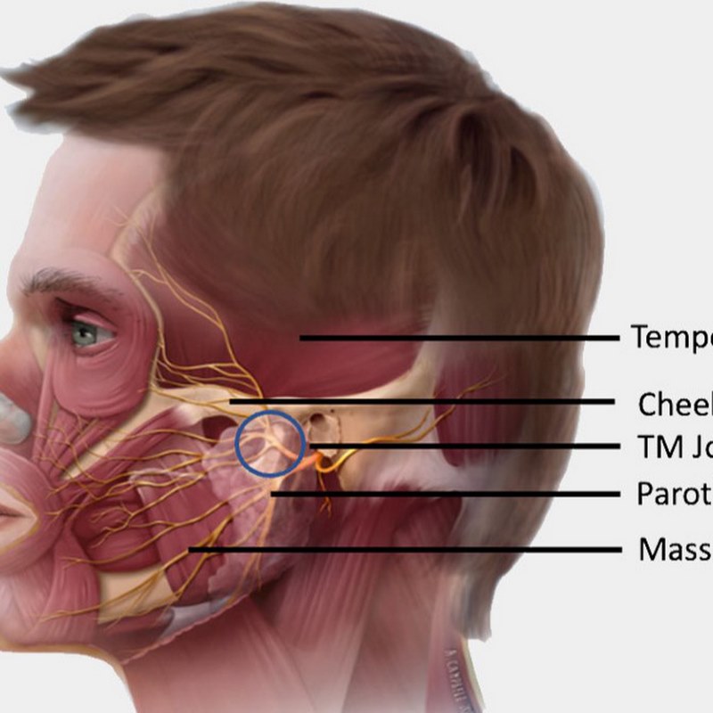 Người tiếp xúc với chất gây kích ứng cho xương hàm dễ mắc bệnh