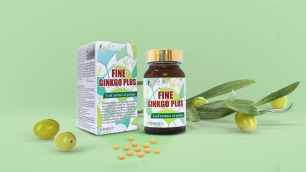 Viên hỗ trợ tăng cường trí nhớ Fine Ginkgo Plus của Nhật