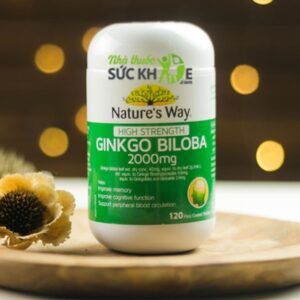 Viên uống Ginkgo Biloba 2000mg Nature's Way Của Úc