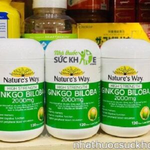 Viên uống Ginkgo Biloba 2000mg Nature's Way Của Úc