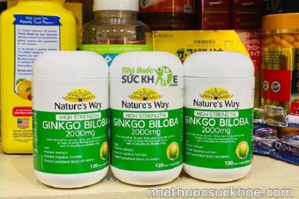 Viên uống Ginkgo Biloba 2000mg Nature's Way Của Úc