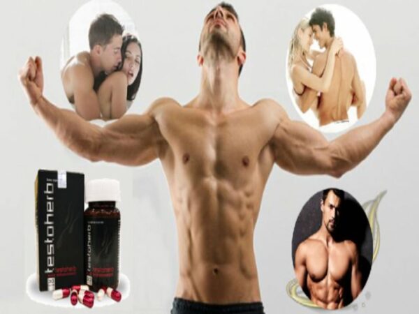 Viên uống Testoherb hỗ trợ tăng cường sinh lý nam