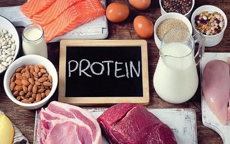 Protein là một phần thiết yếu trong việc xây dựng và sửa chữa mô cơ