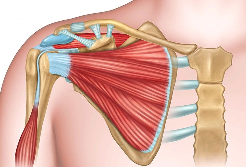 Những lưu ý quan trọng khi phục hồi giãn dây chằng vai