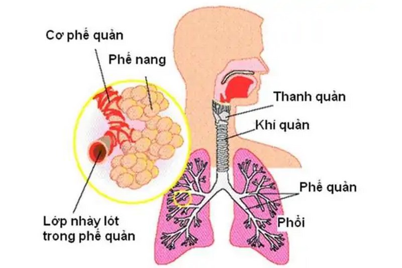 Giữ ẩm không khí