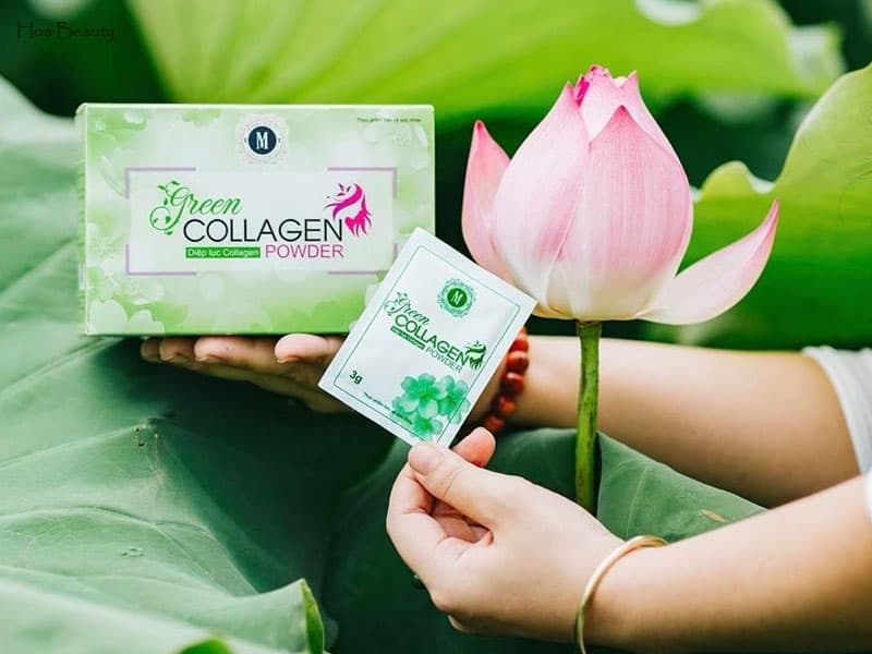 Sản phẩm Green Collagen có sự kết hợp giữa collagen và rau xanh