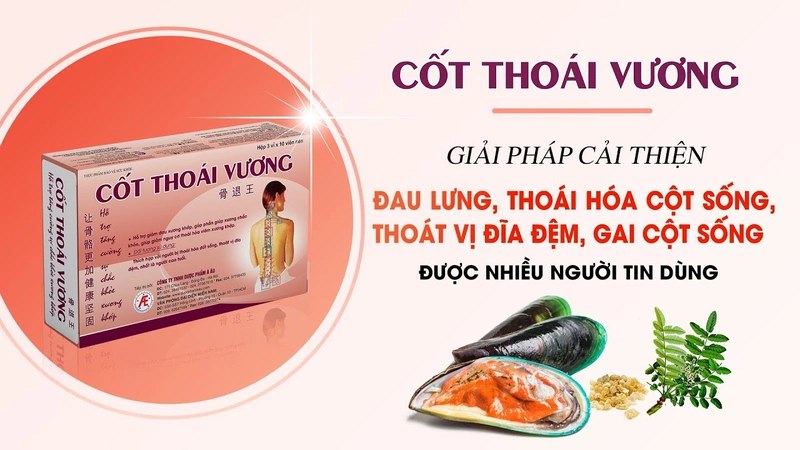 Uống liên tục Cốt Thoái Vương từ 3 đến 6 tháng theo đúng liều dùng quy định