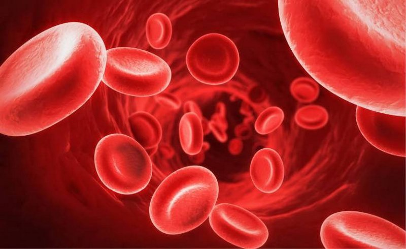 Hemophilia được biết đến như bệnh máu khó đông