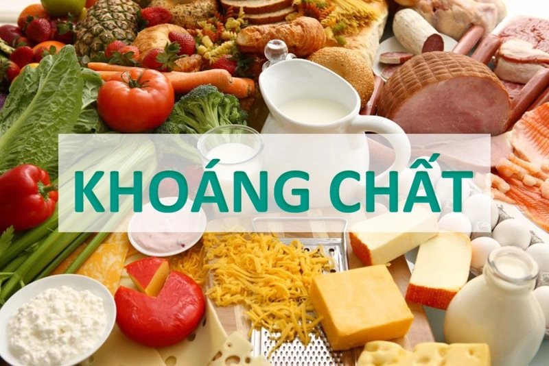 Bổ sung các khoáng chất  giúp hỗ trợ sức khỏe