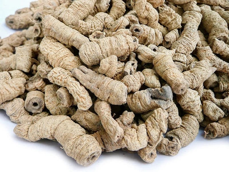 Ba kích (Morinda officinalis) là một loại cây leo thuộc họ Cà phê