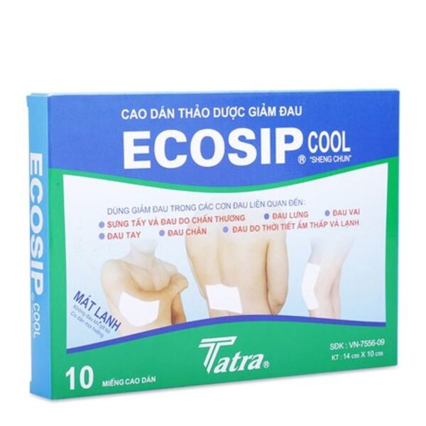 Cao dán thảo dược giảm đau Ecosip Cool(2 gói x 5 miếng/ hộp)