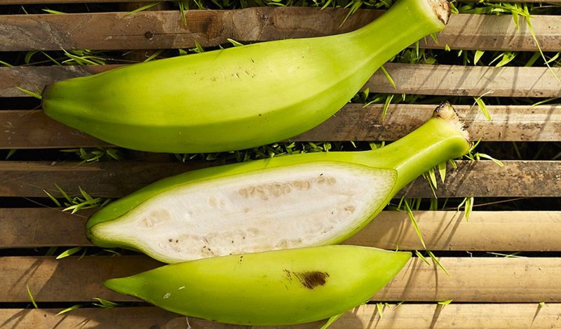 Phương pháp điều trị đau lưng và tiểu ra máu